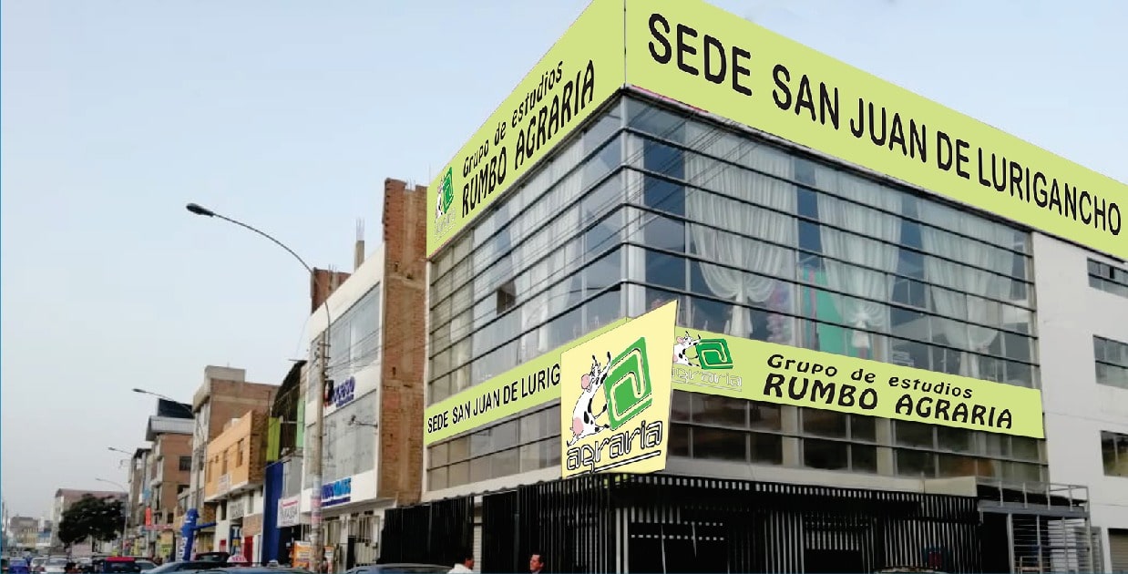 Sede Lince